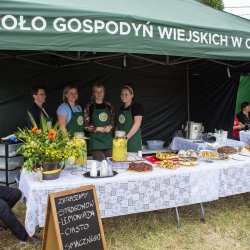 piknik rodzinny23
